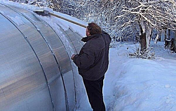 How to remove snow from a polycarbonate greenhouse: accessories, necessary tools and devices