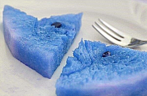 Blue watermelon: the benefits and harms, how to grow what can be done, photo