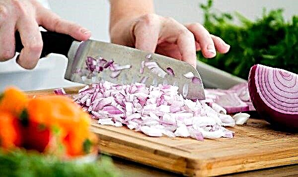 How to cut onions and not cry: the causes of tears from onions, how to cut onions, video