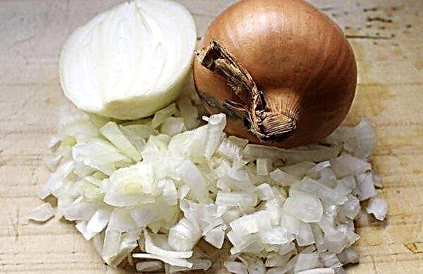 What will happen if you eat onions every day: benefits and harms, norms of use