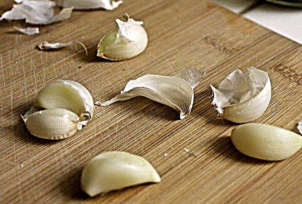 How much garlic can be eaten per day: health benefits and harms, rate of use