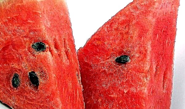 Schwarze Wassermelone: ​​Top der besten Sorten, Beschreibung und Eigenschaften, Merkmal des Wachstums, Foto