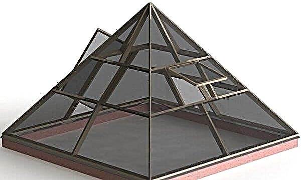 Invernadero "Pirámide" hecha de policarbonato: ventajas y desventajas, cómo hacerlo usted mismo en casa, foto