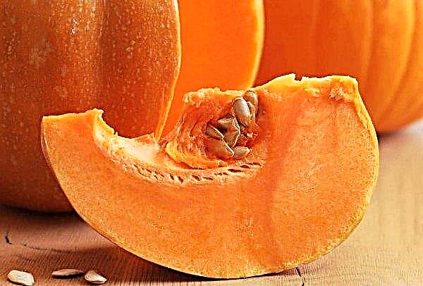 The benefits of pumpkin for a woman's body: features of use, useful tips for drinking