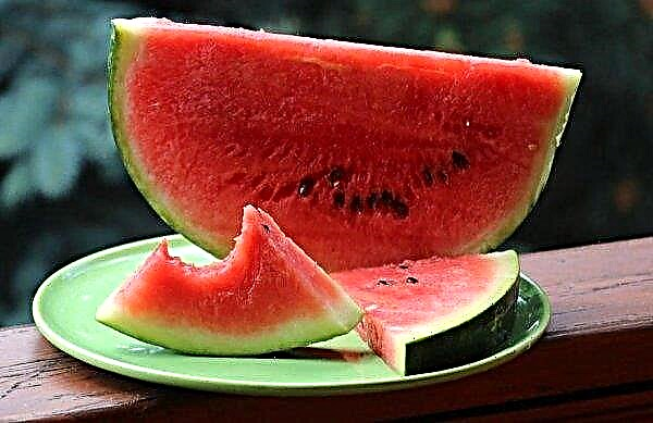 Mognar vattenmeloner i en trasig form: metoder för att bestämma mognad, villkor för lagring