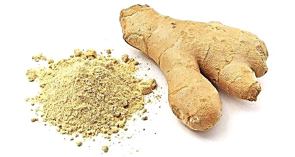 Ginger for cellulite at home: scrubs, masks, wraps, essential oil, tea, reviews