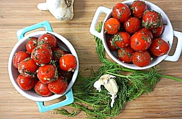 Kuidas tomatid marineerida pakendis: kiire retsept, samm-sammult toiduvalmistamise juhised