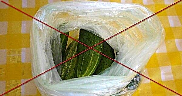 How long to keep cucumbers in the refrigerator fresh, so that they do not fade
