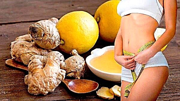 Slimming cocktail with ginger: varieties, benefits and harms, how to cook at home