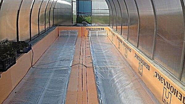 Underfloor heating in a greenhouse: purpose, heating options, do-it-yourself floor installation, video