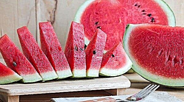 Watermelon for hypertension: how it affects blood pressure, increases or decreases