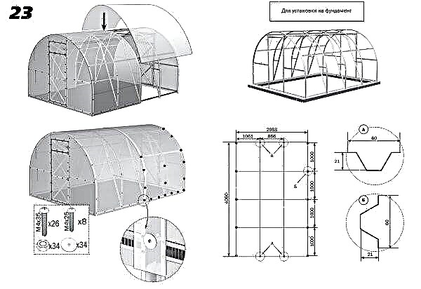 Greenhouse "Three rubles" of the manufacturer "Will": features and characteristics, assembly instructions, photos, video