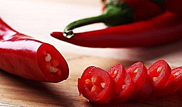 Chili pepper - préparations pour l'hiver: les meilleures recettes, une cuisine pas à pas, des conseils utiles