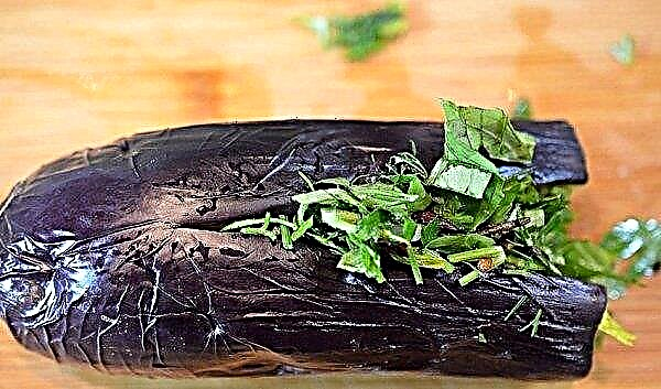 مخلل الباذنجان محشوة بالخضروات لفصل الشتاء: خطوة بخطوة الطبخ ، الصورة