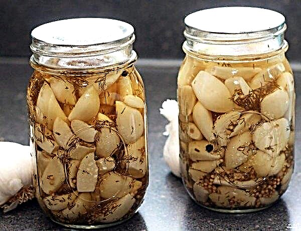 Nakladané strúčiky cesnaku: recepty na zimu