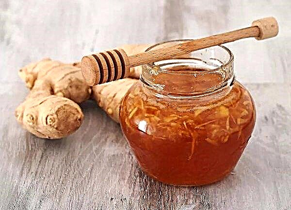 Ginger from heartburn: does the root help, traditional medicine recipes at home, contraindications