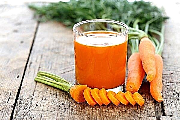 गैस्ट्रिटिस के लिए गाजर: उपचार के लिए, क्या उच्च अम्लता के साथ खाना संभव है, किस रूप में खाना बेहतर है