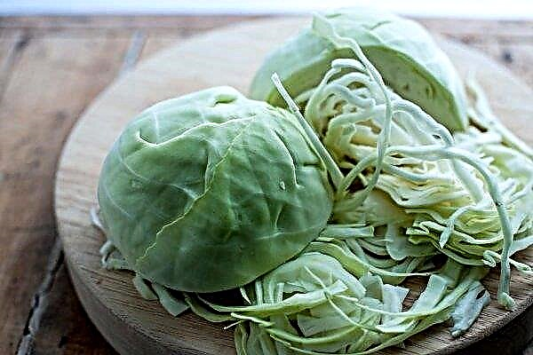 Why does stomach puff from cabbage: the main reasons, what should I do?