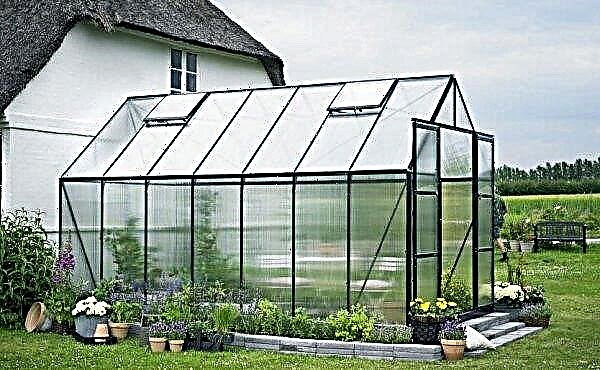 How to choose a polycarbonate greenhouse: types of greenhouses, basic criteria, tips, videos