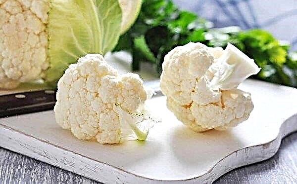 Cauliflower for gastritis: the benefits and harms, whether it is possible to eat, especially consumption