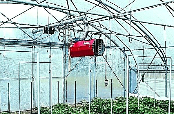 Winter polycarbonate greenhouse: a description of how to build your own with heating and light, photo