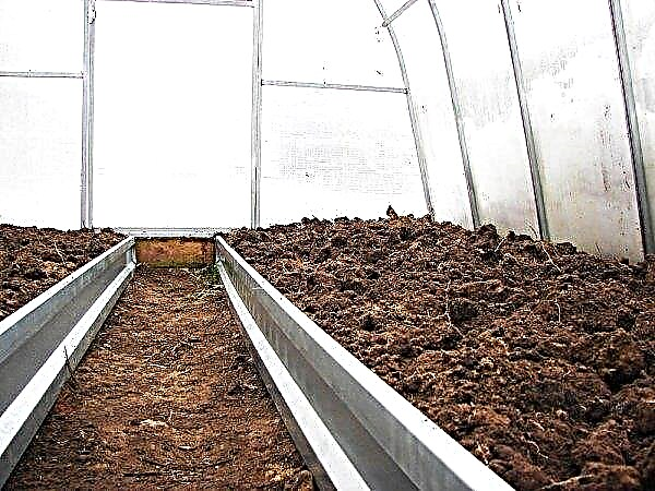 Paths in the greenhouse between the beds: a variety of material, selection rules and do-it-yourself installation, photo