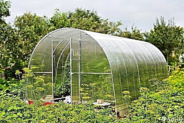Do-it-yourself arched polycarbonate greenhouse: drawing, making arches