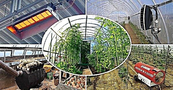 What temperature should be in the greenhouse: maintaining the temperature in the film, unheated greenhouses