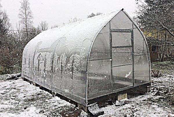 Greenhouse “Droplet”: features, how to choose the finished one from the manufacturer, DIY assembly, photos, video