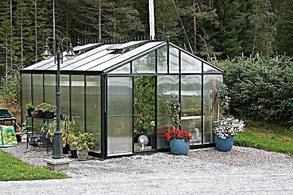 Gable greenhouse: do-it-yourself polycarbonate, drawings and sizes, assembly instructions