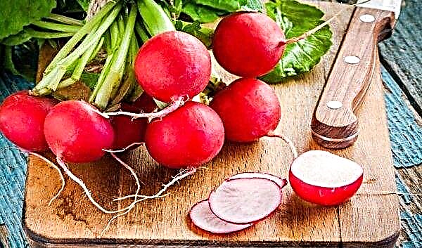 Freezing radishes for the winter in the freezer: recipes