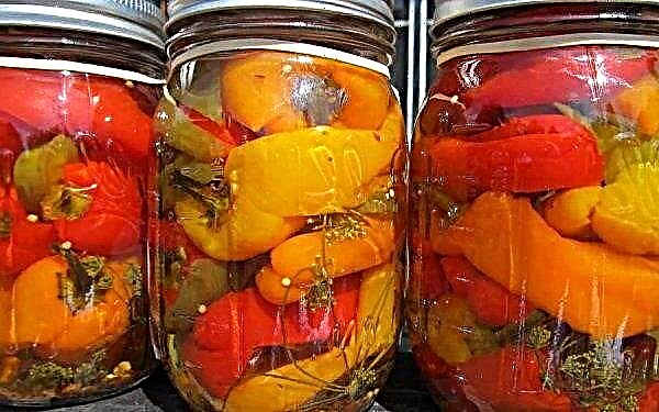 Bell pepper canning: recipes with step by step cooking, video