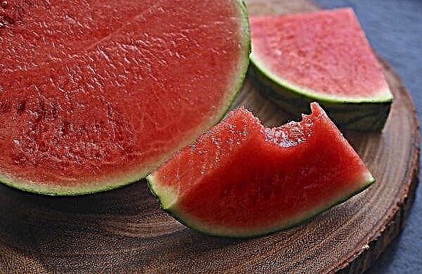 Adakah semangka meningkatkan gula darah: komposisi kimia dan kandungan kalori semangka, peraturan penggunaan