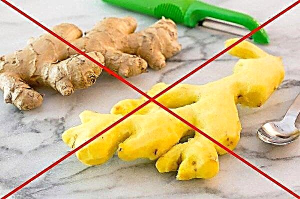 Ginger root for subcutaneous acne on the face: medicinal properties, methods and rules of use, recipes, contraindications