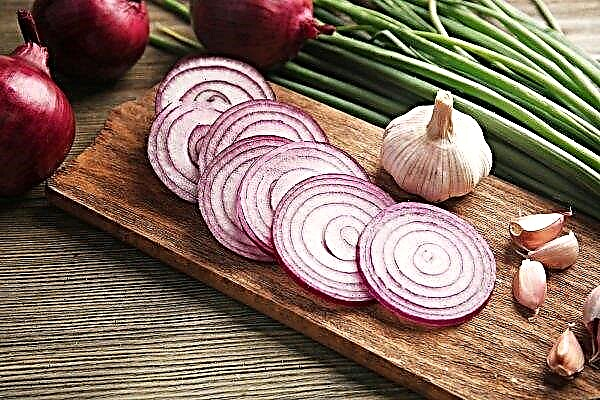 Onions for breastfeeding: is it possible to eat, the benefits and harms, how to use it correctly