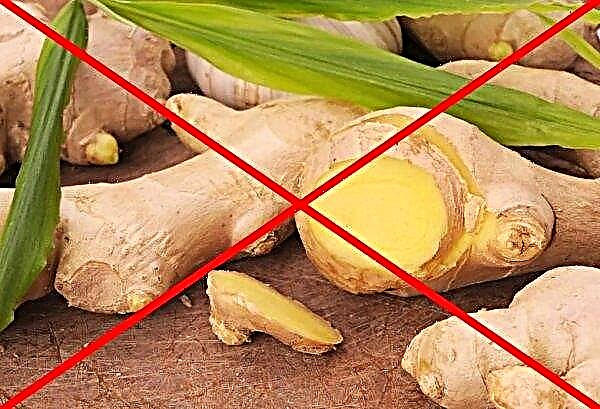 Ginger in gynecology and its useful properties, a ginger compress for infertility, ginger for conception