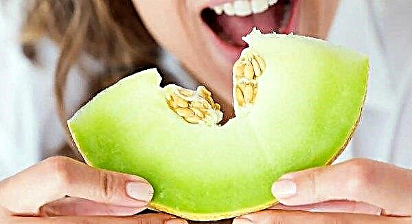 Er det muligt at amme melon: risici og gavnlige egenskaber