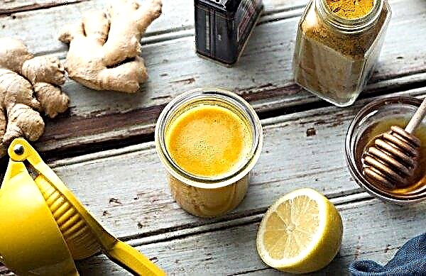 How to clean the lungs with turmeric with ginger, drink recipes and methods of use