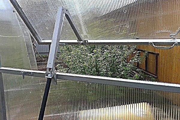 Polycarbonate greenhouse ventilation system: types of systems, how to make a device, video yourself