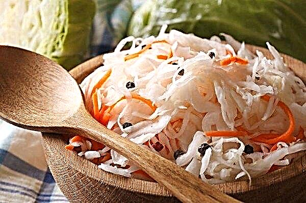 Is it possible to sauerkraut with breastfeeding: benefits and harms, especially consumption