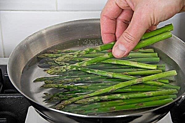 Asparagus: benefits and harms for men and women