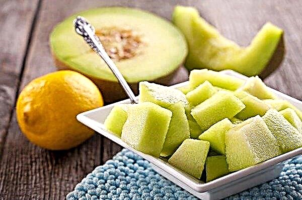 How much melon can be eaten per day: benefits and harms, features of the melon diet, contraindications for use, nutritional advice