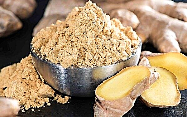 Ginger dilutes blood or thickens, ginger root with thrombosis and thrombophlebitis