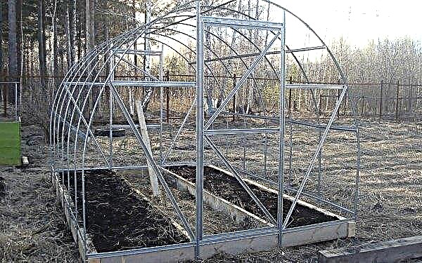 Greenhouse Vintage PC made of polycarbonate: pros and cons, assembly instructions, photos