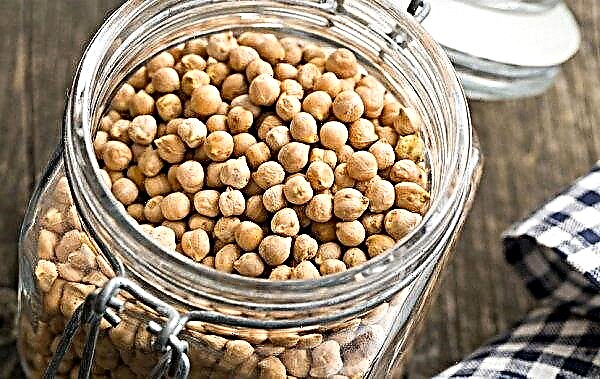 Chickpea storage: terms, conditions and conditions