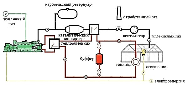 Grijanje na plinove u stakleniku: izvodljivost, prednosti, klasifikacija sustava plinskog grijanja, video
