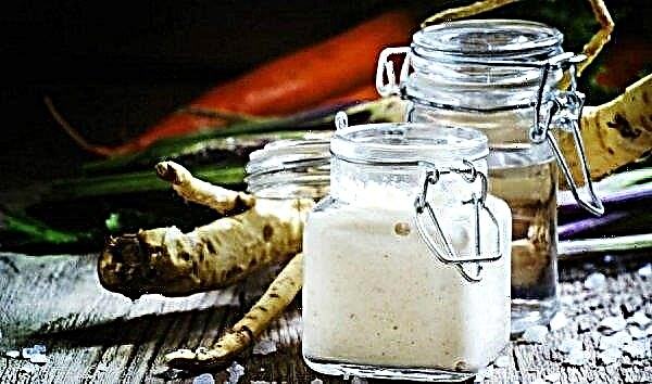 Ginger - is it horseradish or not, similarities and differences, which is more useful: horseradish or ginger?