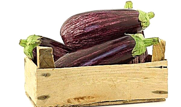 Är aubergine ett bär eller en grönsak? Beskrivning och funktioner hos fostret