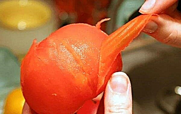 Kako oguliti rajčicu: brzi i pravilni načini ljuštenja