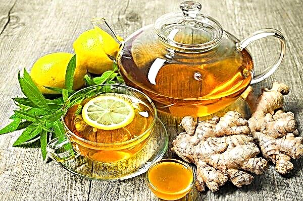 Ginger tea for weight loss: when, how much and how long to use a fat-burning drink, recipes